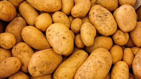 Congeler pommes de terre cuites : cru, blanchi ou cuit