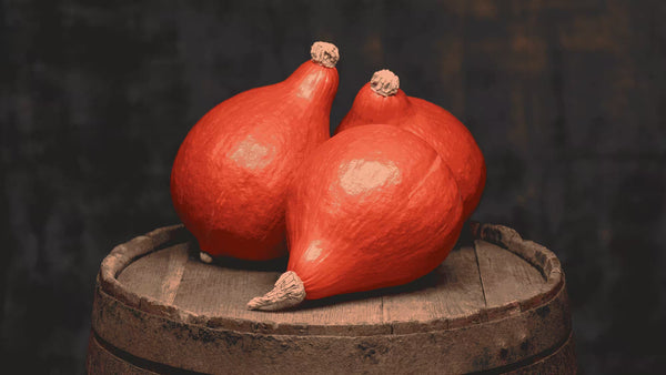 Comment conserver une courge tout l’hiver (maison, cave ou balcon)