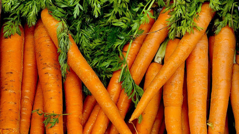 Congeler carottes : cru, blanchi ou cuit