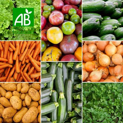 🥬 Panier de Légumes BIO – Ferme des Terres Noires