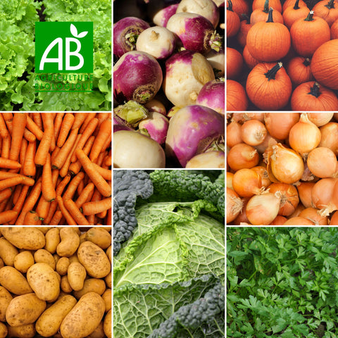 🥬 Panier de Légumes BIO – Ferme des Terres Noires