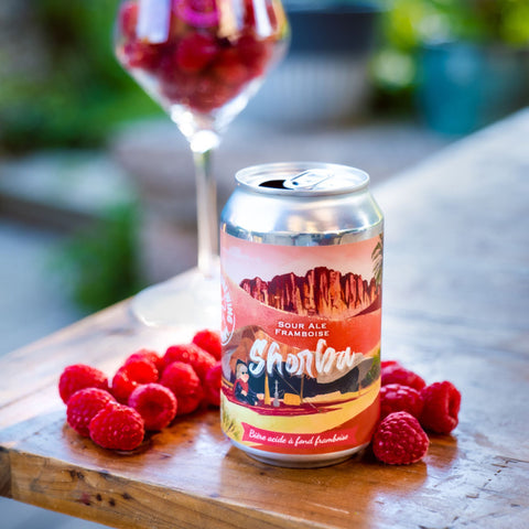 🍺 Shorba – Fruited Sour – 33cl Canette – 4,2% vol.