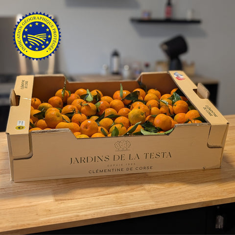 🍊 Clémentines de Corse IGP – Carton 5kg