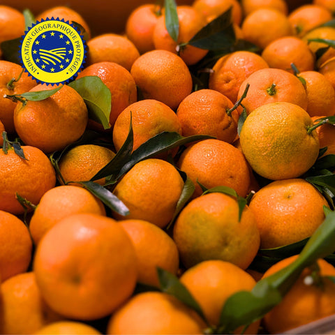 🍊 Clémentines de Corse IGP – Carton 5kg