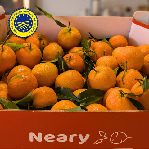 🍊 Clémentines de Corse IGP – Carton 5kg