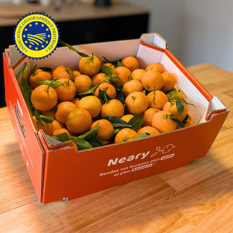 🍊 Clémentines de Corse IGP – Carton 5kg