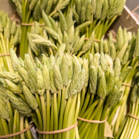 🌿 Asperge Sauvage – 200g