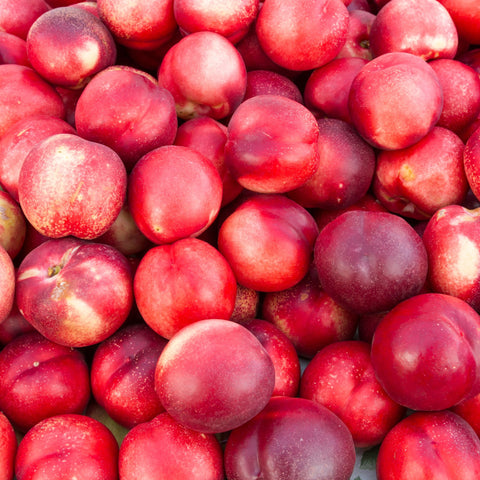 🍑 Royal White Nectarines - 1kg
