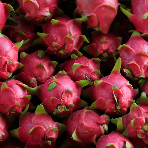 🥭 Fruit du dragon rouge - 1kg