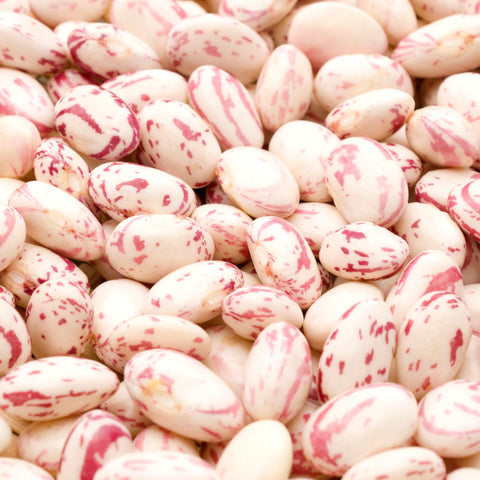 🌿 Haricots Borlotti – 1 kg