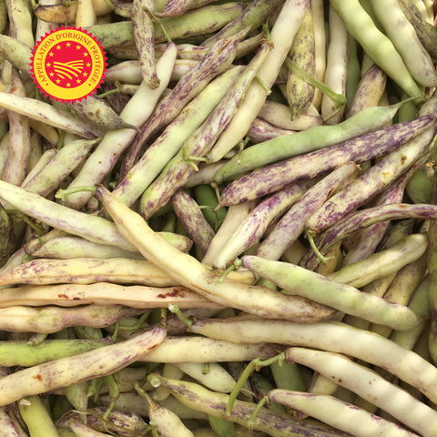 🤍 Haricot Coco de Paimpol AOP – 1 kg – Trésor Iodé de Bretagne