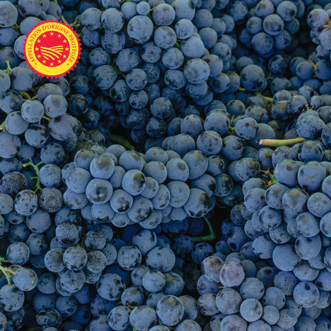 🍇 Colis de Raisin Muscat du Ventoux AOP – 6 kg
