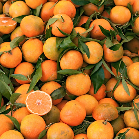 🍊 Clémentines de Corse – Carton 5kg