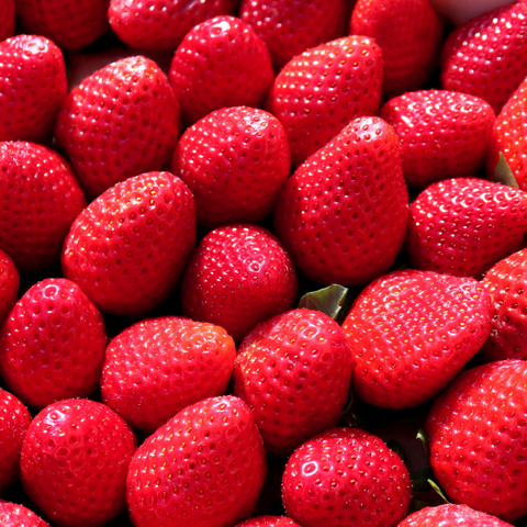 🍓 Round Strawberries – 500g Punnet