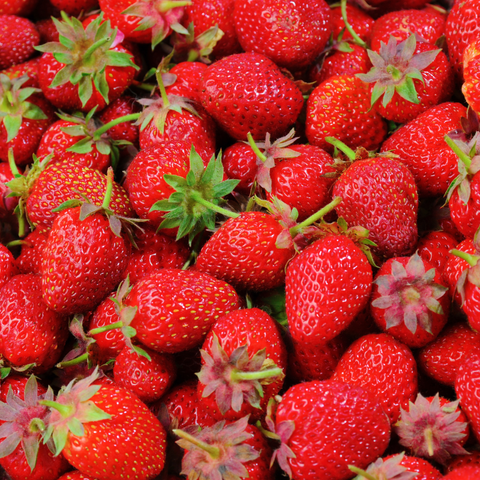🍓 Fraises rondes de Carpentras – Barquette de 500g