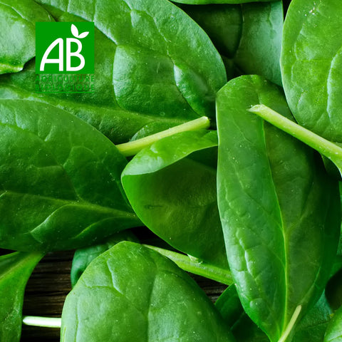 🌿 Épinards BIO – 500g ou 1kg