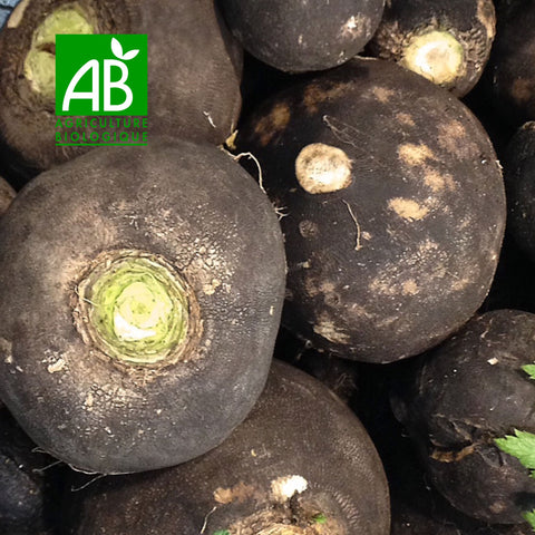⚫ Organic Black Radishes – 1kg