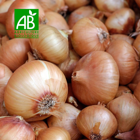 🧅 Organic Yellow Onions – 500g or 1kg
