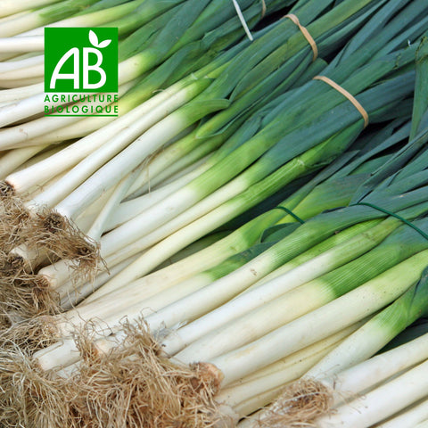 🥬 Poireaux BIO – 1kg