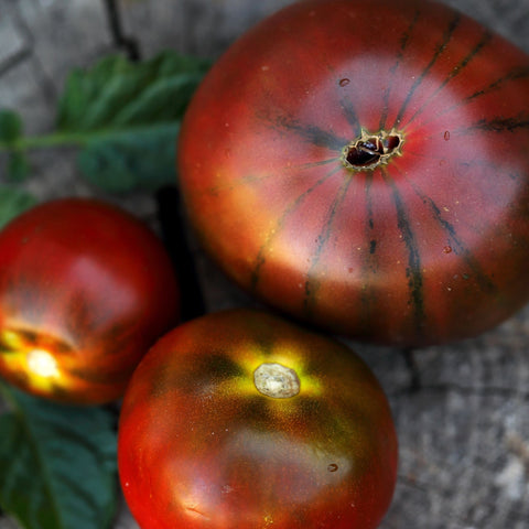 🍅 Tomates Côtelées Noires "Pleine Terre" – 1kg