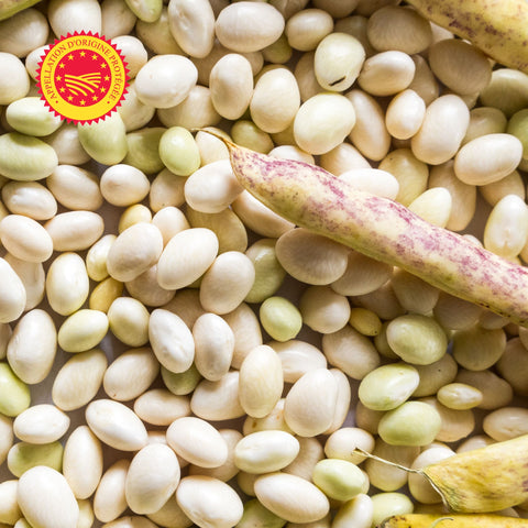 🤍 Haricot Coco de Paimpol AOP – 1 kg – Trésor Iodé de Bretagne