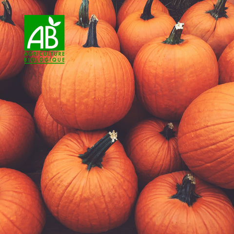 🎃 Courge Potimarron BIO – 1 pièce (≈ 1 à 1,5 kg)