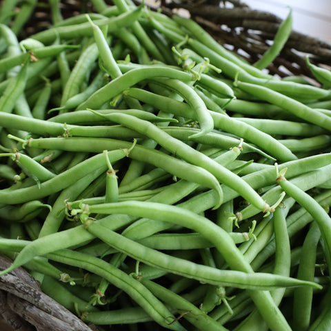 🥗 Haricots verts frais de Lorraine – 1 kg | Cultivés à Malzéville 🌿