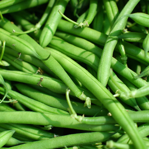 🥗 Haricots verts frais de Lorraine – 1 kg | Cultivés à Malzéville 🌿