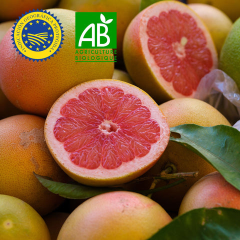 🍊 Pomelo de Corse IGP BIO – 400g (Vendu à l’unité)