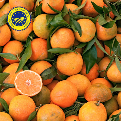 🍊 Clémentines de Corse IGP – 1kg