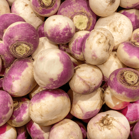 Navets violets BIO - 1kg - La ferme des Terres Noires - Légumes - Livraison à domicile