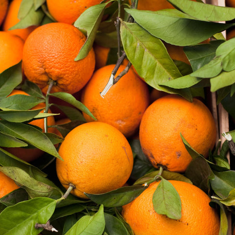 Orange Corse - 1kg - Neary - Fruits - Livraison à domicile