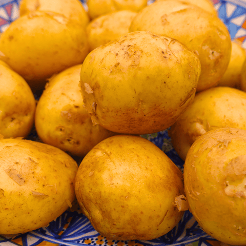 Pomme de terre de Noirmoutier - Sirtema - 500g - Neary - Légumes - Livraison à domicile Nancy Metz