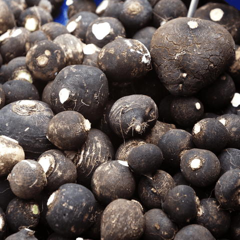 Radis noirs BIO - 1kg - La ferme des Terres Noires - Légumes - Livraison à domicile