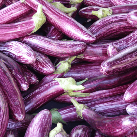 Aubergine striée BIO - 1kg - La ferme des Terres Noires - Légumes - Livraison à domicile Nancy Metz