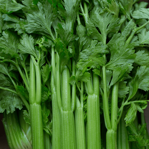 Céleri branche - 1kg - Neary - Légumes - Livraison à domicile
