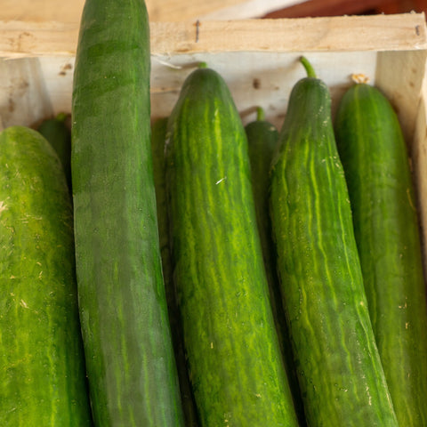 Concombre de Lorraine - à la pièce - Neary - Légumes - Livraison à domicile Nancy Metz