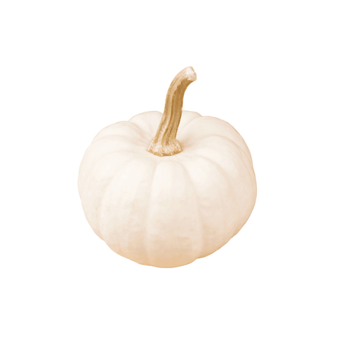Livraison panier de fruits et légumes à Nancy, Metz et villages alentours - Jack be little blanc BIO - 1kg - Neary - Légumes - La ferme de Domangeville - BIO, Décembre, Les fruits et légumes, Local, Lorraine, Légumes, Nancy, Nouveauté