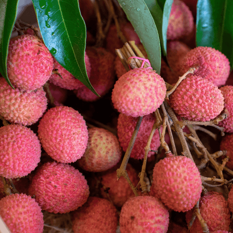 Litchi branche de l'Ile Maurice - 500g - Neary - Fruits - Livraison à domicile Nancy Metz