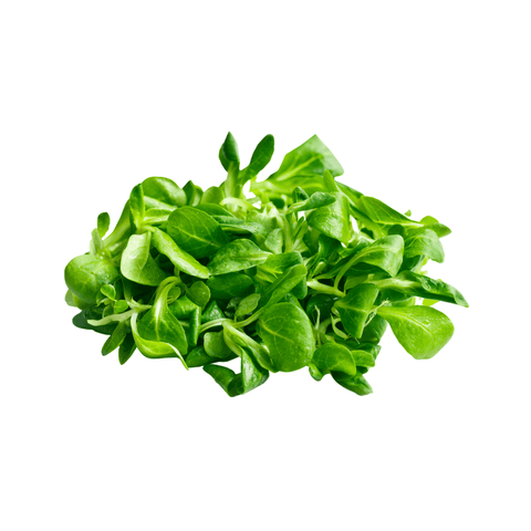 Livraison panier de fruits et légumes à Nancy, Metz et villages alentours - Mâche BIO - 100g - Neary - Légumes - La ferme de Domangeville - BIO, Décembre, Les fruits et légumes, Local, Lorraine, Légumes, Nancy, Nouveauté