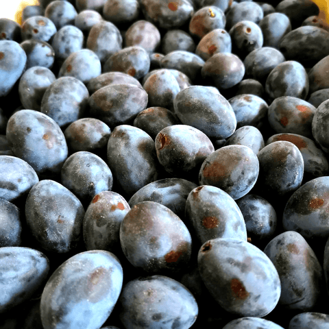 Livraison panier de fruits et légumes à Nancy, Metz et villages alentours - Quetsches de Lorraine - 500g - Neary - Fruits - Neary - Fruits, Les fruits et légumes, Local, Lorraine, Mirabelle, Nancy, Sucré