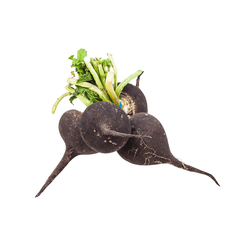 Livraison panier de fruits et légumes à Nancy, Metz et villages alentours - Radis noir BIO - 1kg - Neary - Légumes - La ferme de Domangeville - BIO, Décembre, Les fruits et légumes, Local, Lorraine, Légumes, Nancy, Nouveauté