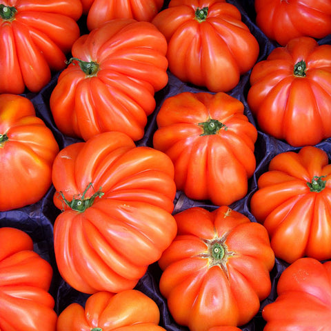 Livraison panier de fruits et légumes à Nancy, Metz et villages alentours - Tomates cœur de bœuf - 1kg - Neary - Légumes - Neary - Les fruits et légumes, Local, Lorraine, Légumes, Nancy, Origine France, Promotions