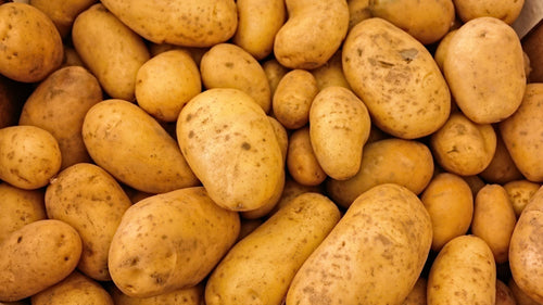Congeler pommes de terre cuites : cru, blanchi ou cuit
