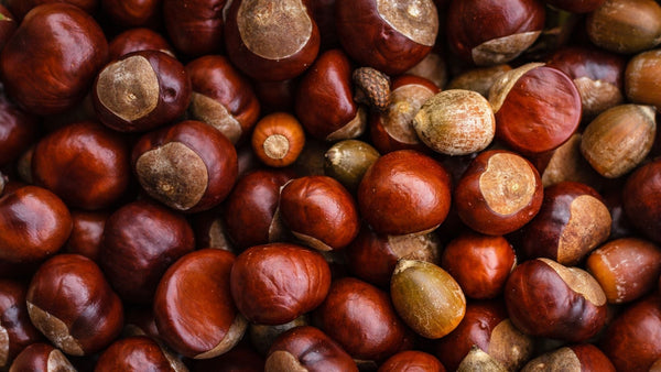 🥶 Freeze chestnuts easily: raw, blanched or cooked – Neary 