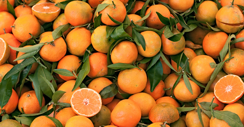 🍊 Tout savoir sur la clémentine - Neary - Livraison panier de fruits et légumes