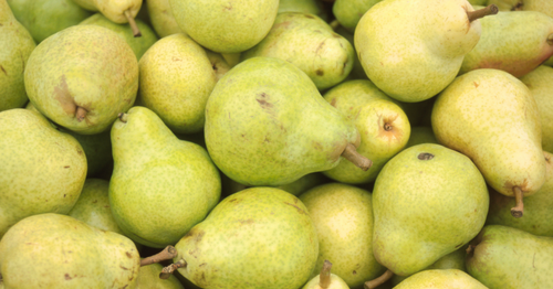 🍐 Tout savoir sur la poire