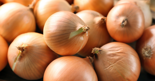 🧅 Tout savoir sur l’oignon - Neary - Livraison panier de fruits et légumes