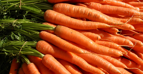 🥕 Tout savoir sur la carotte