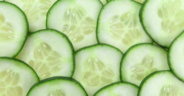 🥒 Tout savoir sur le concombre